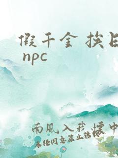 假千金 挨日记 npc
