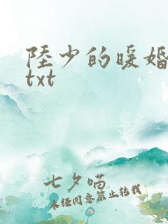 陆少的暖婚新妻txt
