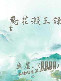 飞花溅玉录txt