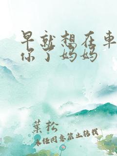 早就想在车里要你了妈妈