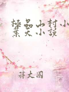 极品山村小神农叶天小说