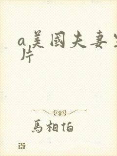 a美国夫妻生活片