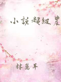 小说超级农民