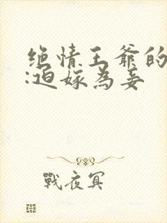 绝情王爷的宠妃:迫嫁为妾