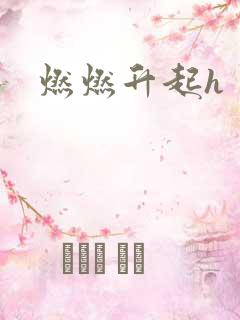 燃燃升起h