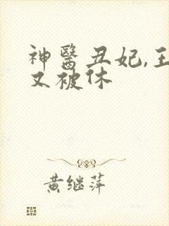 神医丑妃,王爷又被休
