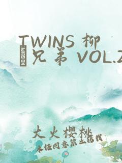 TWINS 柳澤兄弟 VOL.2