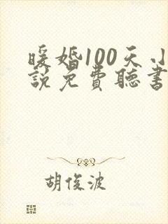 暖婚100天小说免费听书