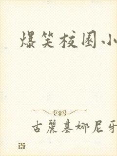 爆笑校园小说