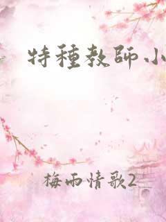 特种教师小说