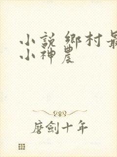 小说 乡村最强小神农