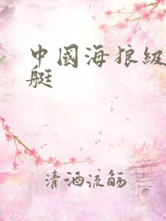 中国海狼级核潜艇
