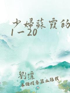 少妇苏霞的沉沦1一20