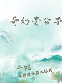 奇幻贵公子下载