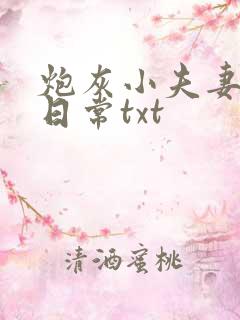 炮灰小夫妻发家日常txt