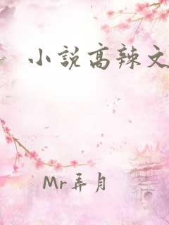 小说高辣文肉