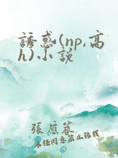 诱惑(np,高h)小说