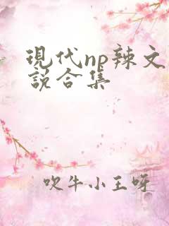 现代np辣文小说合集