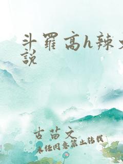 斗罗高h辣文小说