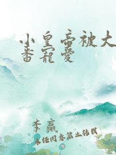 小皇帝被大臣轮番宠爱