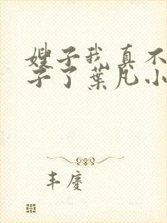 嫂子我真不是傻子了叶凡小说最新章节精校版
