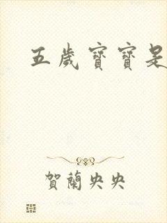 五岁宝宝是间谍