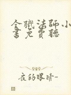 全职法师小说听书免费听