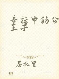 童话中的公主和王子