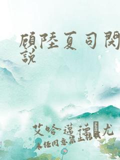 顾陆夏司闵郁小说