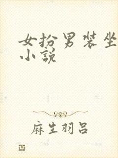 女扮男装坐江山小说