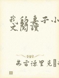我的妻子小谨全文阅读