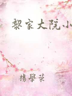 黎家大院小说