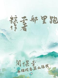 粽子哪里跑小说作者