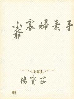 小寡妇素手擒四爷