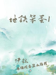 地铁笨蛋1