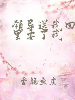 领导送我回家车里要了我