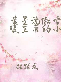 叶晨沈傲雪林若曦主角的小说是什么