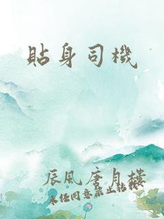 贴身司机