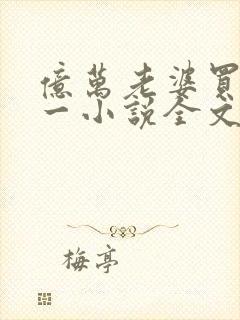 亿万老婆买一送一小说全文