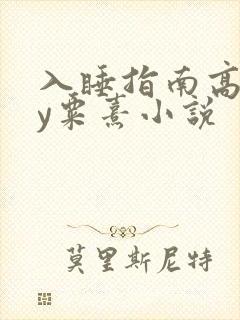 入睡指南高干by粟熹小说