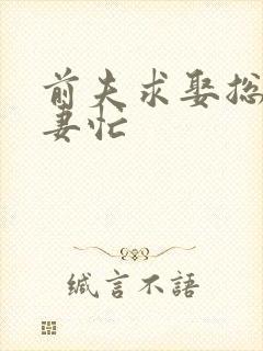 前夫求娶总裁追妻忙