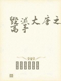 毁灭大唐之异能高手