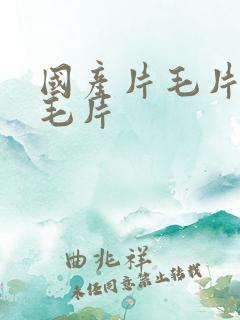 国产片毛片毛片毛片