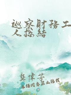 巡察财务工作个人总结