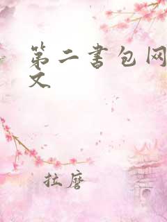 第二书包网h辣文