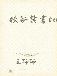 硅谷禁书txt