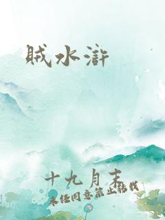贼水浒