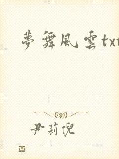 梦舞风云txt