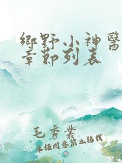 乡野小神医最新章节列表
