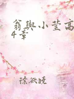 翁与小莹高潮24章